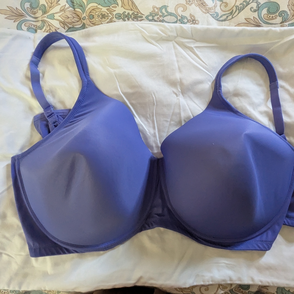 Leading Lady Blue Bra